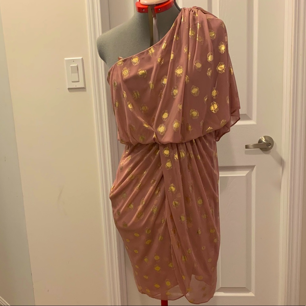 Liliana One-Shoulder Blouson Dress in Rose Dust with Gold Dot Print